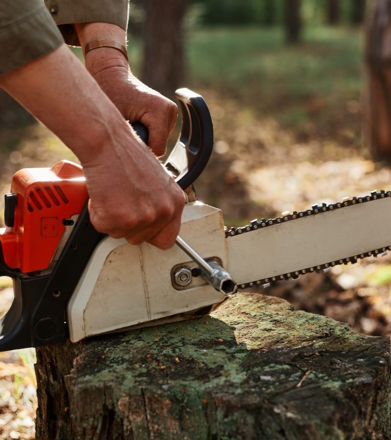 Outdoor shot of unknown person worker fixing chainsaw before or after deforestation, logger fixing tool for cutting trees, professional log, faceless woodsman working.